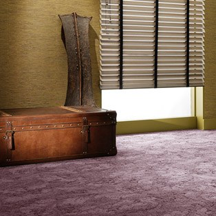 [roomshot]