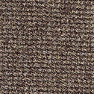 Gladiator 39 - Carpet By Aw (associated Weavers)